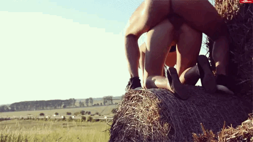 Challenge: on your travels find awesome locations for a good fuck Gifs