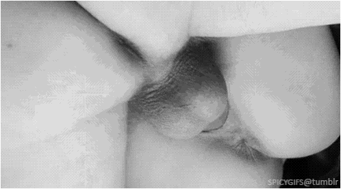 Thick cock fucks tight pussy Gifs